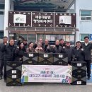 세종돼지 이미지