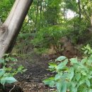 남산에 가면 ⑧ 자유센터 이미지