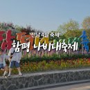 나비노래광장 - 평택시 비전5로 20-10 | [함평나들이] 제28회 함평 나비대축제｜2026 함평 나비대축제 솔직 후기 🦋🤍