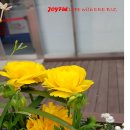 이레 행정사 이미지