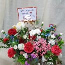 선운중앙로 이미지