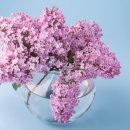 익산고등학교 이미지