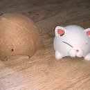 더크레드