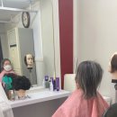 제주가발조으니헤어