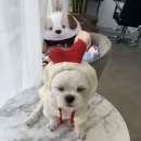 원샵헤어 이미지