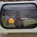 밝은세상안마원 대명역점 이미지