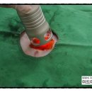 미드미 동물의료센터 이미지