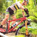 번화2로L 이미지