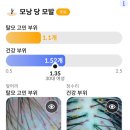 [두앤피본점]남양주두피탈모관리샵추천 별내두피탈모관리샵추천 별내두피관리 별내두피스케일링 남양주...