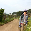 삼다수숲길 1코스 이미지
