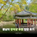 비원 | 서울 가볼만한 곳 창덕궁 후원 예약 방법 &amp; 비원 후기