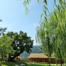 대가야농촌문화체험특구 캠핑장 | 경북 고령 가족나들이 추천, 대가야생활촌에서 가을을 약속해🍂