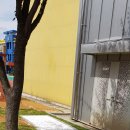 인동초등 병설 이미지