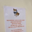 이야이야요 이미지