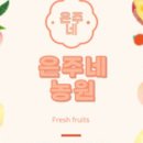 이종식농장 이미지