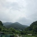 화림전기