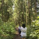 이시돌영농조합법인 이미지