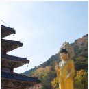 속리산 법주사 이미지