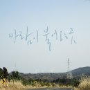 제이레빗 - 바람이 불어오는 곳 이미지