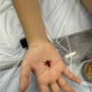 양지초등학교1 이미지