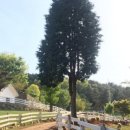 냉천목장 이미지