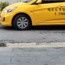 경일 동물병원 네이버블로그