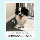 동보주유소 이미지