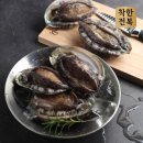 완도10호 이미지