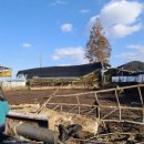 안성축산 이미지