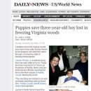 아기강아지 이미지