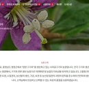 사라골농장 이미지