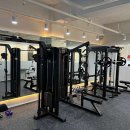 와이필라앤피티 이미지