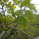 문화농장 이미지