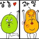 과일삼촌