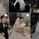 더본유니버스 | W.8-2 담스냅 계약후기