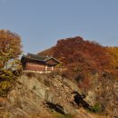 푸른초장 이미지