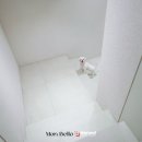 몽벨로 펫 케어센터 이미지