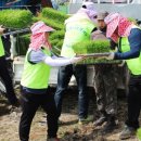 두루미자는버들골마을 이미지