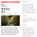 (유)정문건설 | 관악산 가지마세요 등산 실패 후기 (연주대 등산초보코스, 주차 정보)