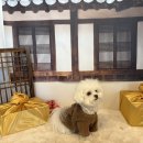 독트럴파크 이미지