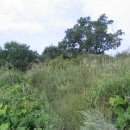 화봉주유소 이미지