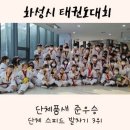 쌍룡태권도체육관