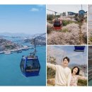 도토리캐빈 이미지