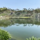 더플레이어스골프클럽 이미지