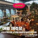제주 애월 대형카페 제주당 | 새별오름 뷰 800평 베이커리카페 솔직후기