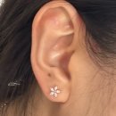 1425 | 강남역 피어싱 추천 무드피어싱 | 귀테리어 맛집 방문 후기