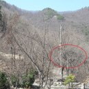 숲속의펜션 - 장성군 모암길 153-81 | 숲속의펜션