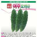 여주 씨앗 나눔합니다 이미지