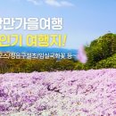 (주)나라여행사 이미지