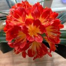 나를 찾아가는 사주명리학 이미지